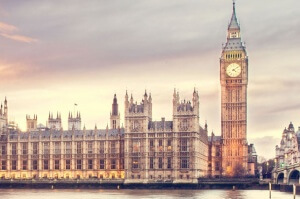 government and public sector